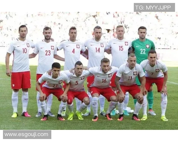 波兰与爱尔兰足球对决精彩视频回顾与精彩瞬间分析