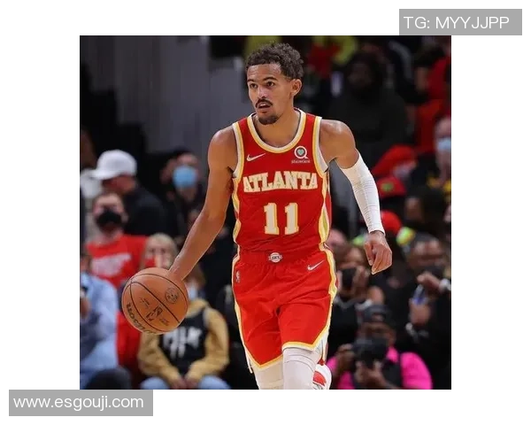 特雷杨的篮球之路从新秀到全明星的辉煌历程与未来展望