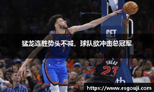 猛龙连胜势头不减，球队欲冲击总冠军