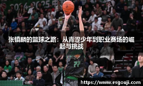 张镇麟的篮球之路：从青涩少年到职业赛场的崛起与挑战
